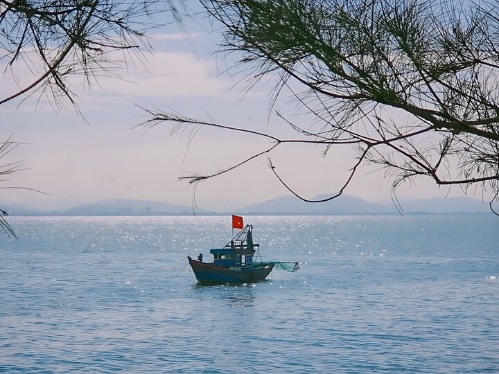 Làng chài Nghi Sơn đón tàu về mỗi sáng