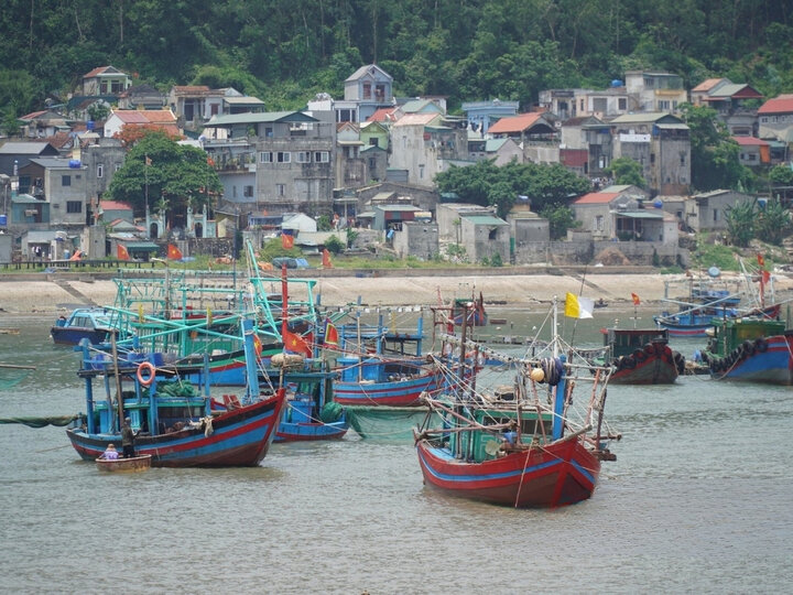 Các tàu đánh bắt hải sản trở về mỗi sáng sớm