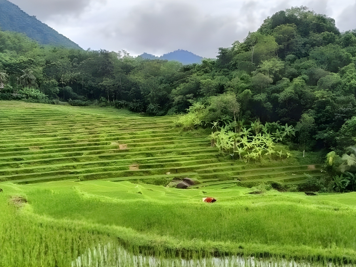 Bản Bút nằm tại xã Nam Xuân.