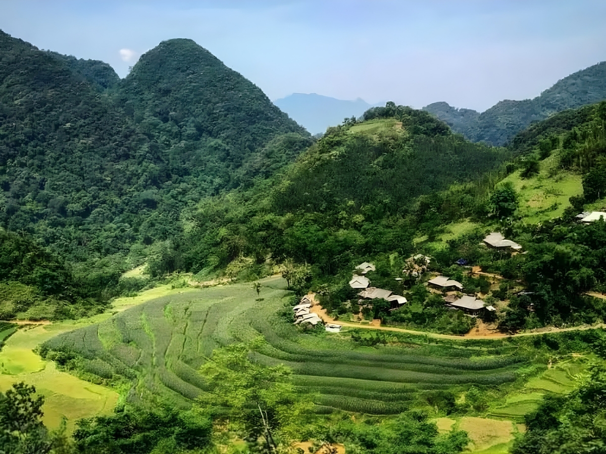 Khung cảnh bản Ngàm mùa lúa xanh