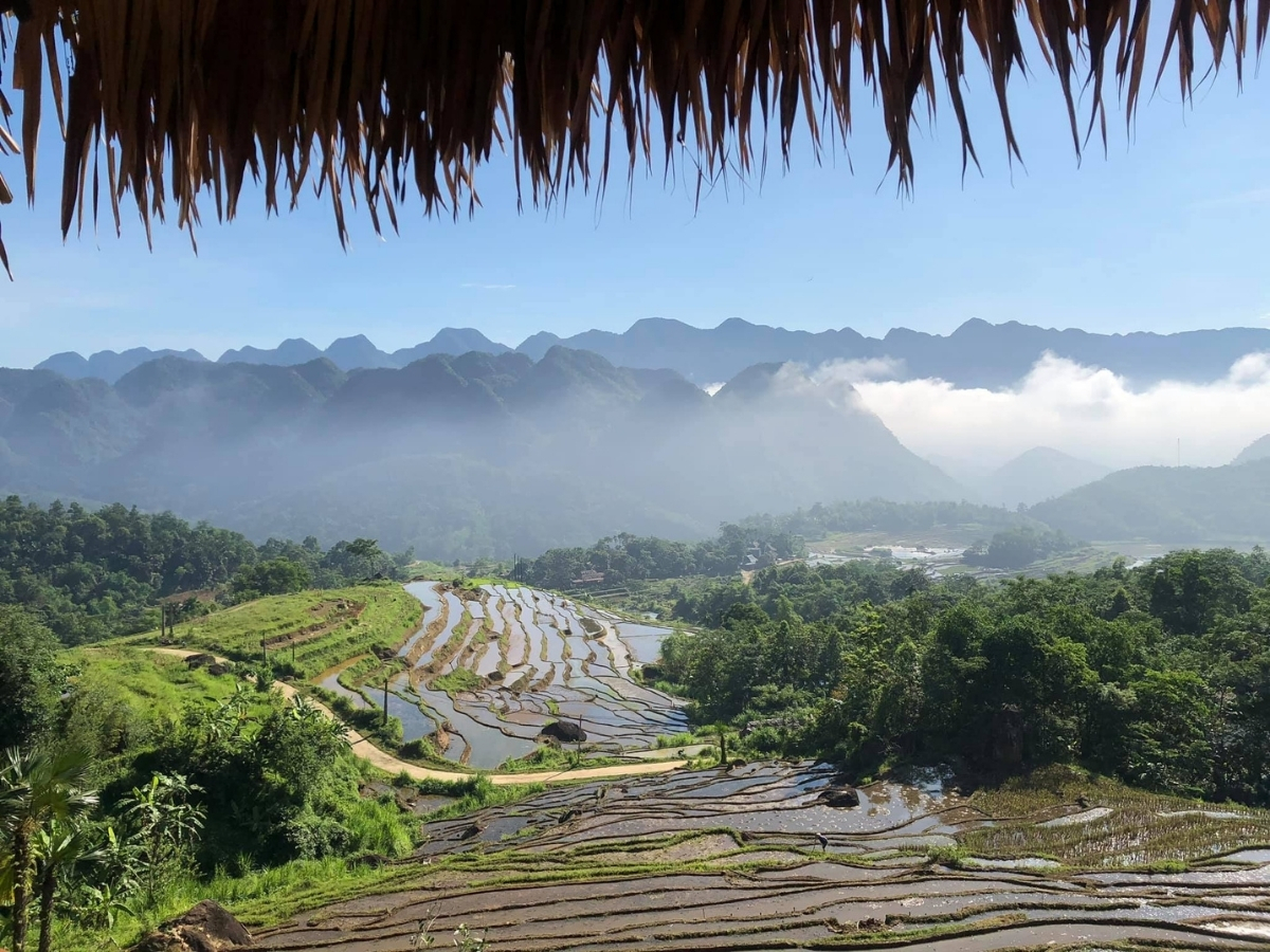 Khung cảnh Pù Luông mùa lúa non