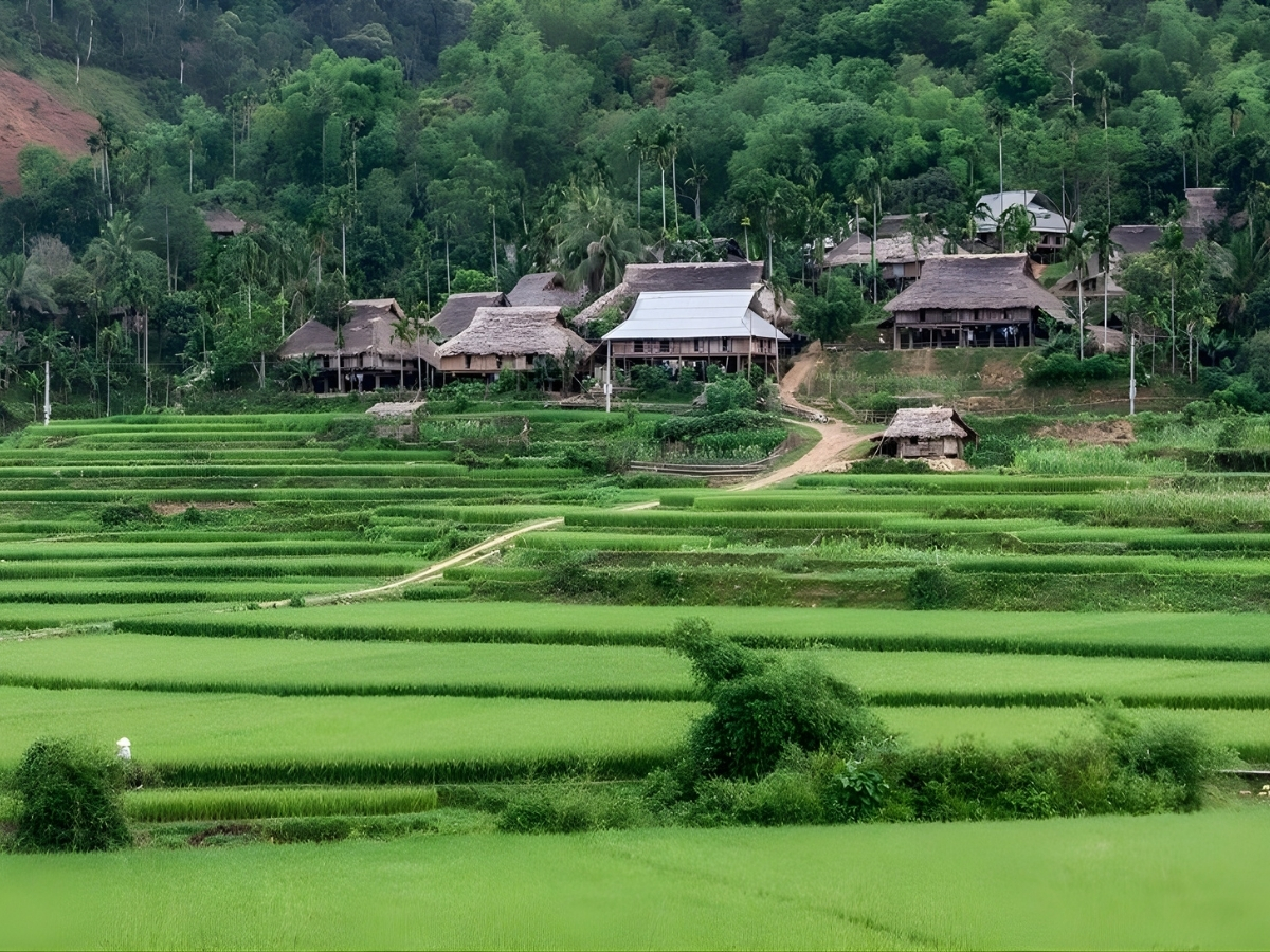 Bản Kho Mường với khung cảnh ruộng bậc thang đặc trưng