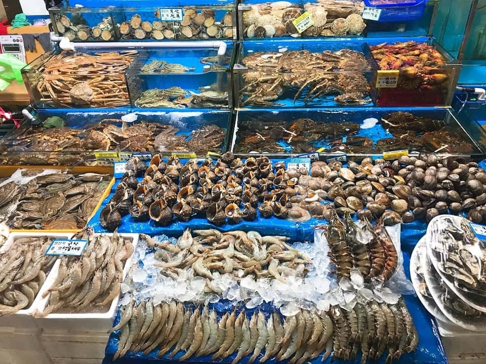 Đặc sản Sầm Sơn làm quà sau chuyến du lịch
