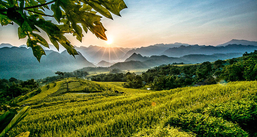Khí hậu Thanh Hóa mát mẻ, cảnh núi rừng xanh tươi, thích hợp du lịch nghỉ dưỡng