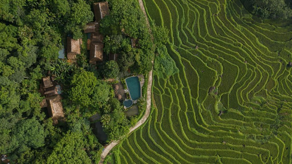 Pù Luông – nơi những thửa ruộng bậc thang ôm trọn bản làng, bình yên đến lạ