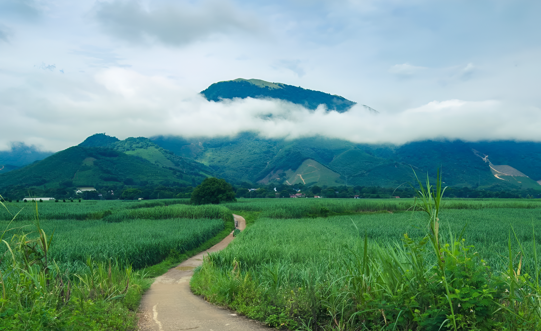 Pù Xèo mang đến trải nghiệm trekking nguyên bản giữa rừng núi