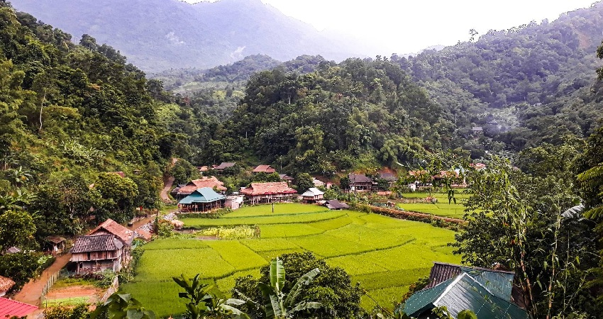 Bản Kho Mường yên bình với vài nhà rải rác giữa ruộng xanh Pù Luông.
