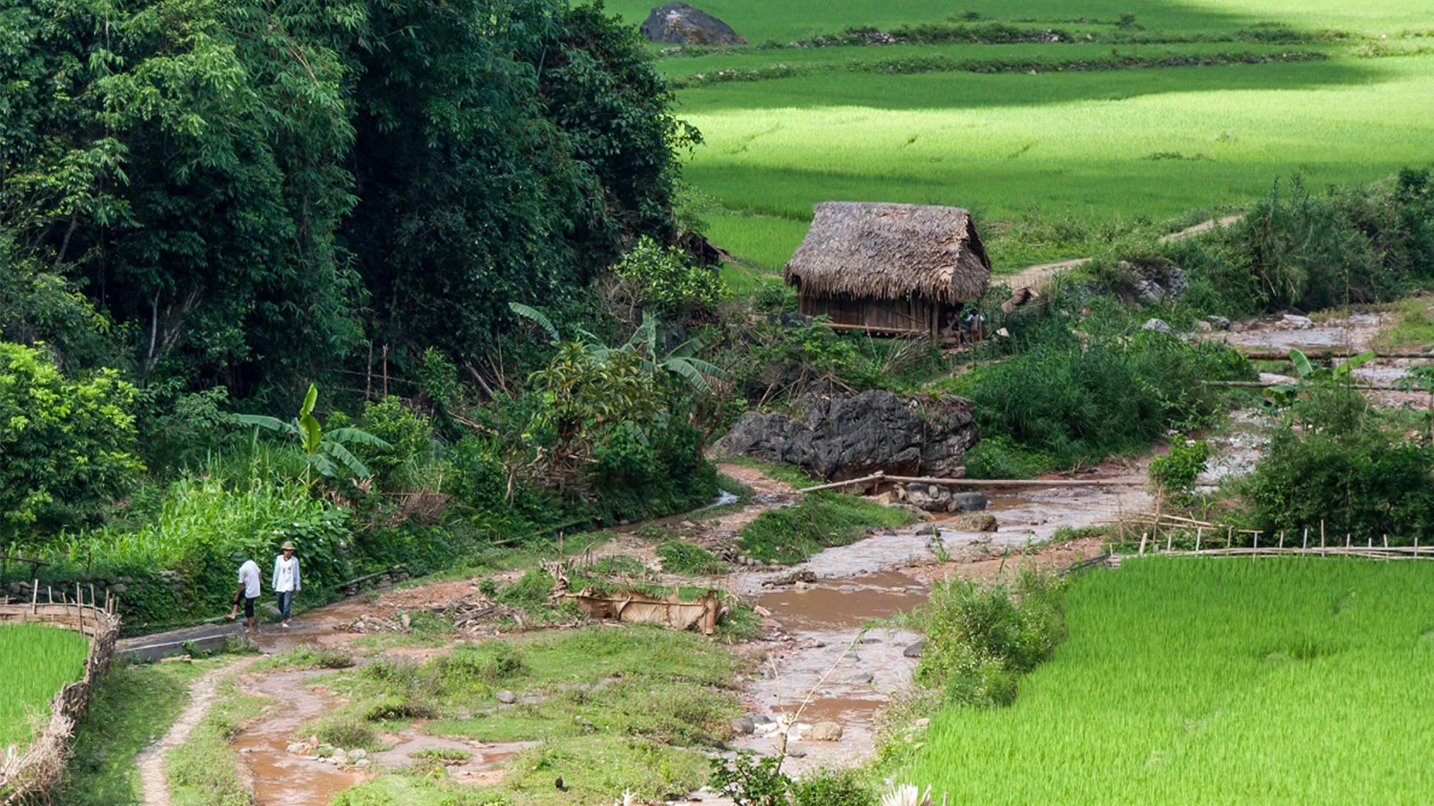 Đường vào bản Kho Mường men theo ruộng bậc thang và suối nhỏ, mở ra khung cảnh làng bản yên bình