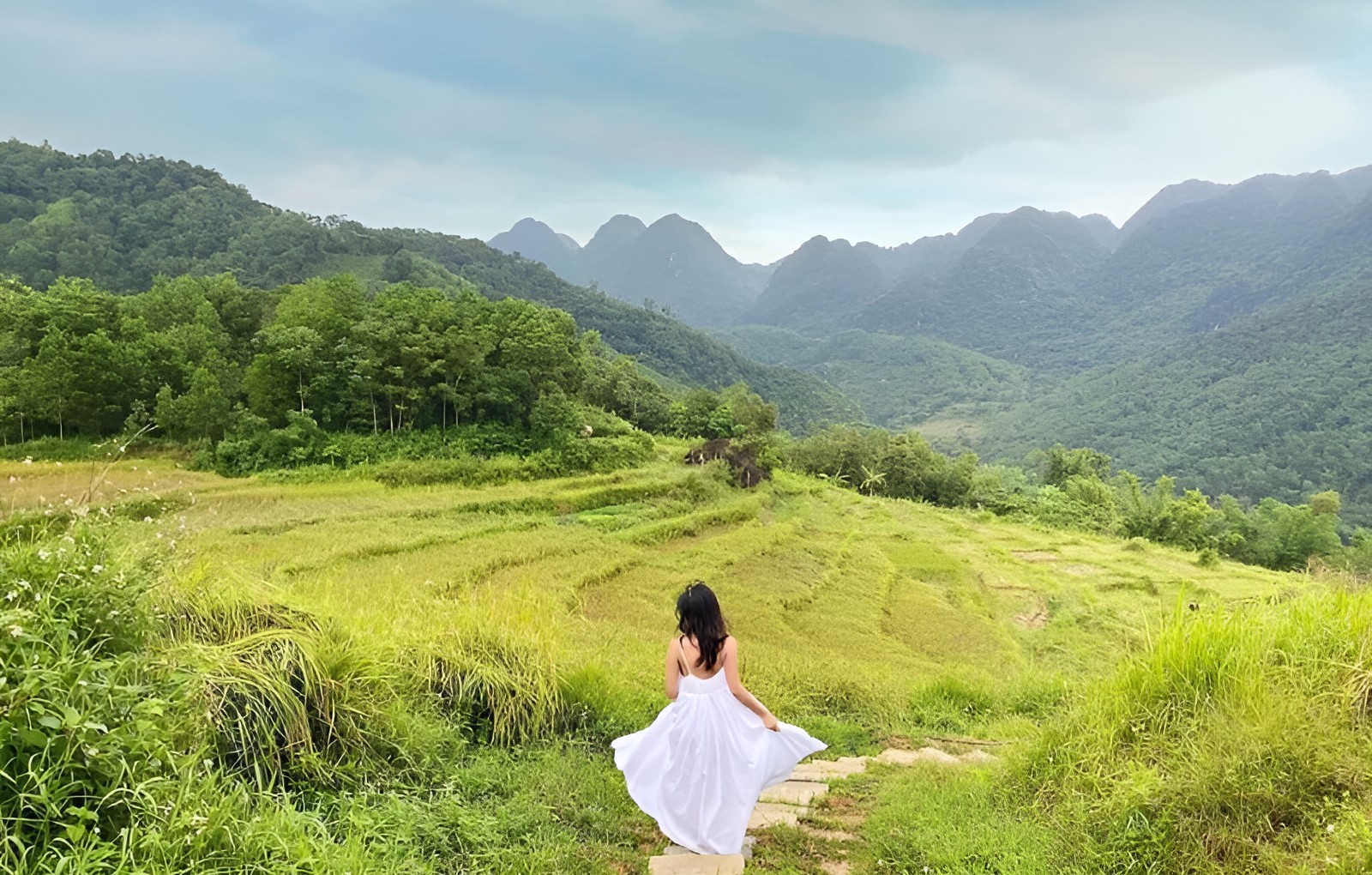 Mùa ruộng bậc thang vàng rực rỡ, đẹp như tranh giữa núi rừng.