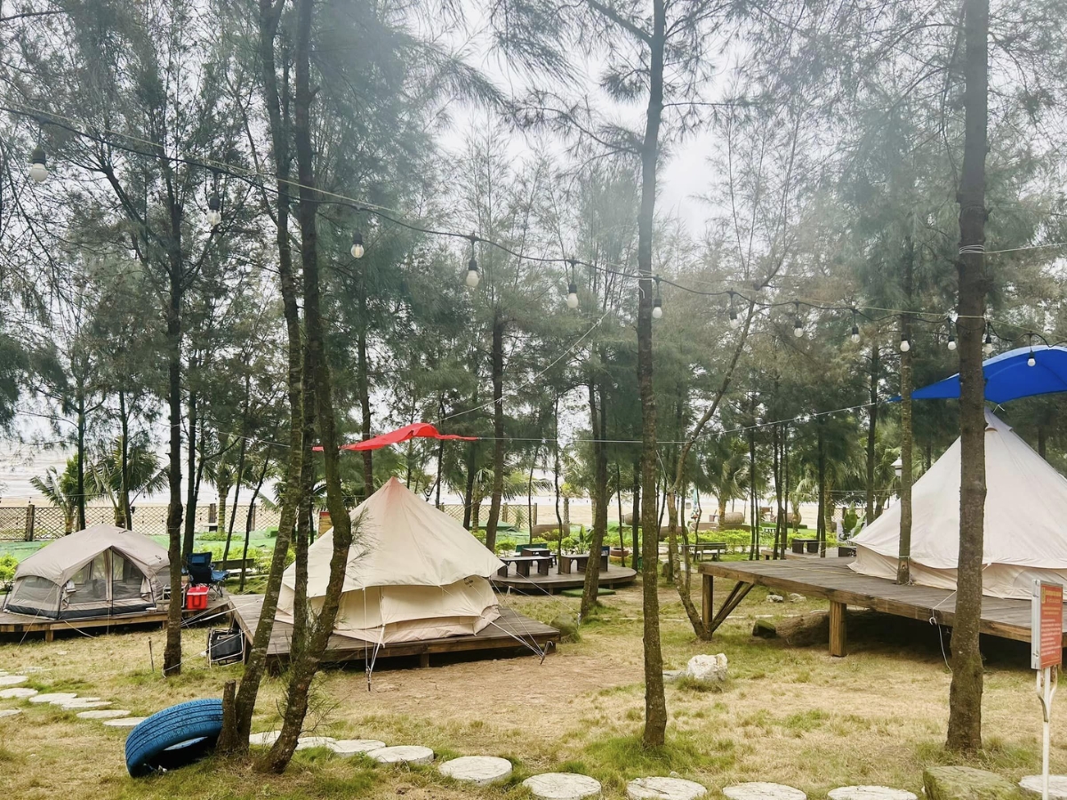 Tận hưởng trải nghiệm glamping bên bờ biển.