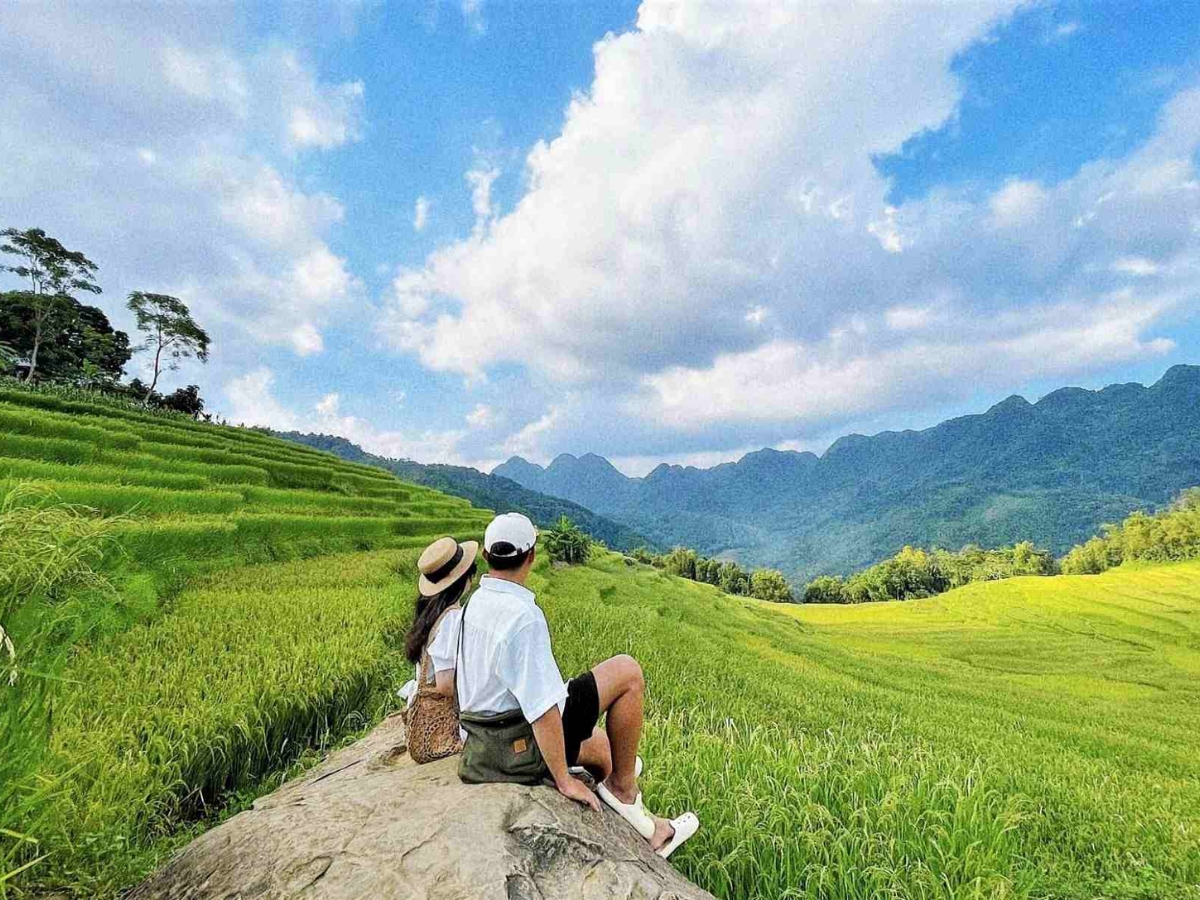 Du khách tận hưởng không khí yên bình, thư thái giữa cánh đồng lúa ngút ngàn