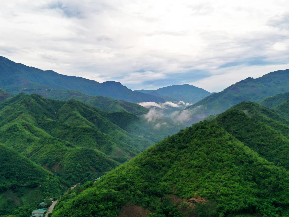Khí hậu mát lạnh, cùng cảnh quan núi rừng nguyên sơ đã tạo điều kiện cho việc hình thành các nguyên liệu quý hiếm