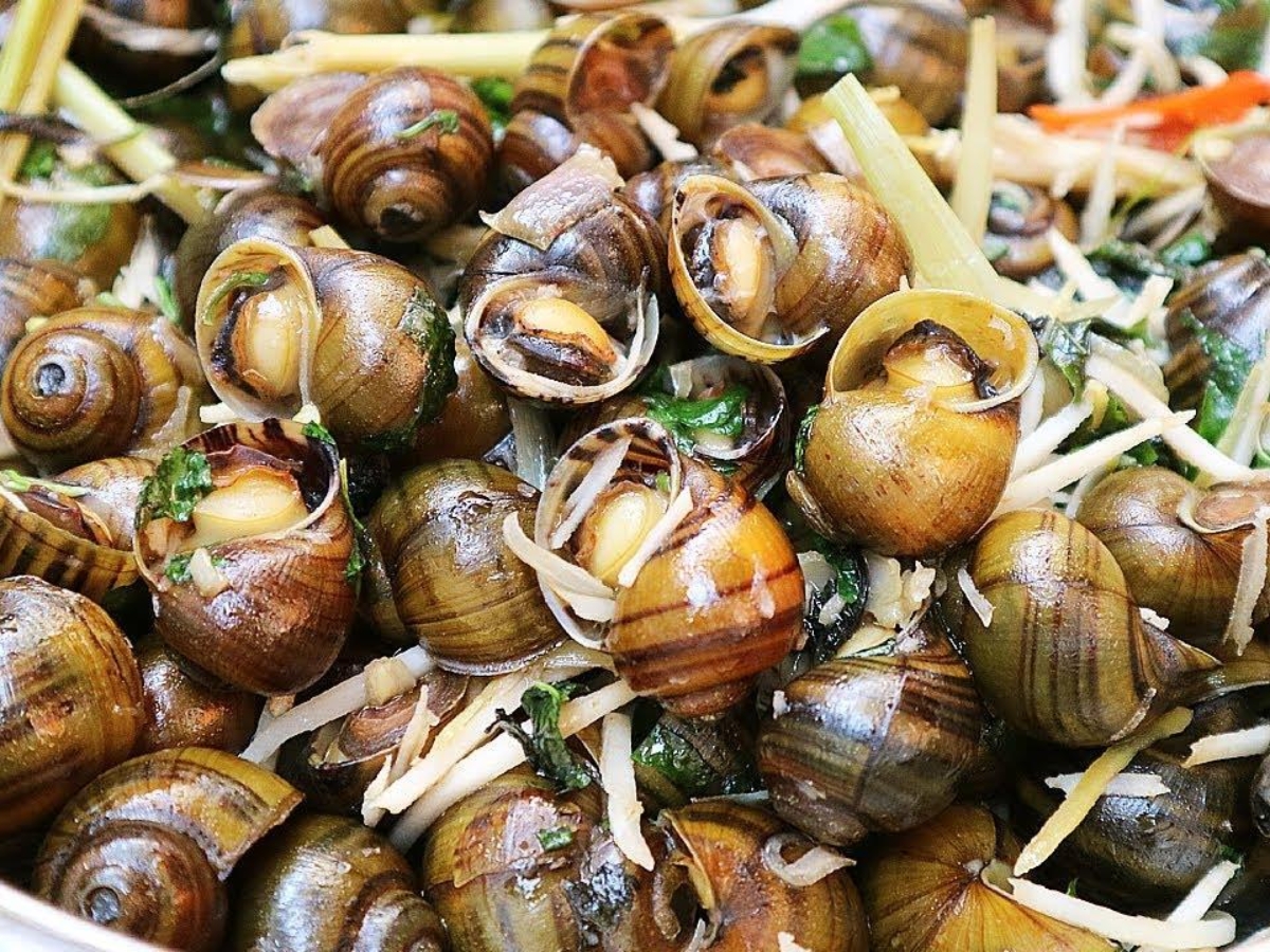 Ốc suối có kích thước vừa phải, thịt giòn, ngọt.