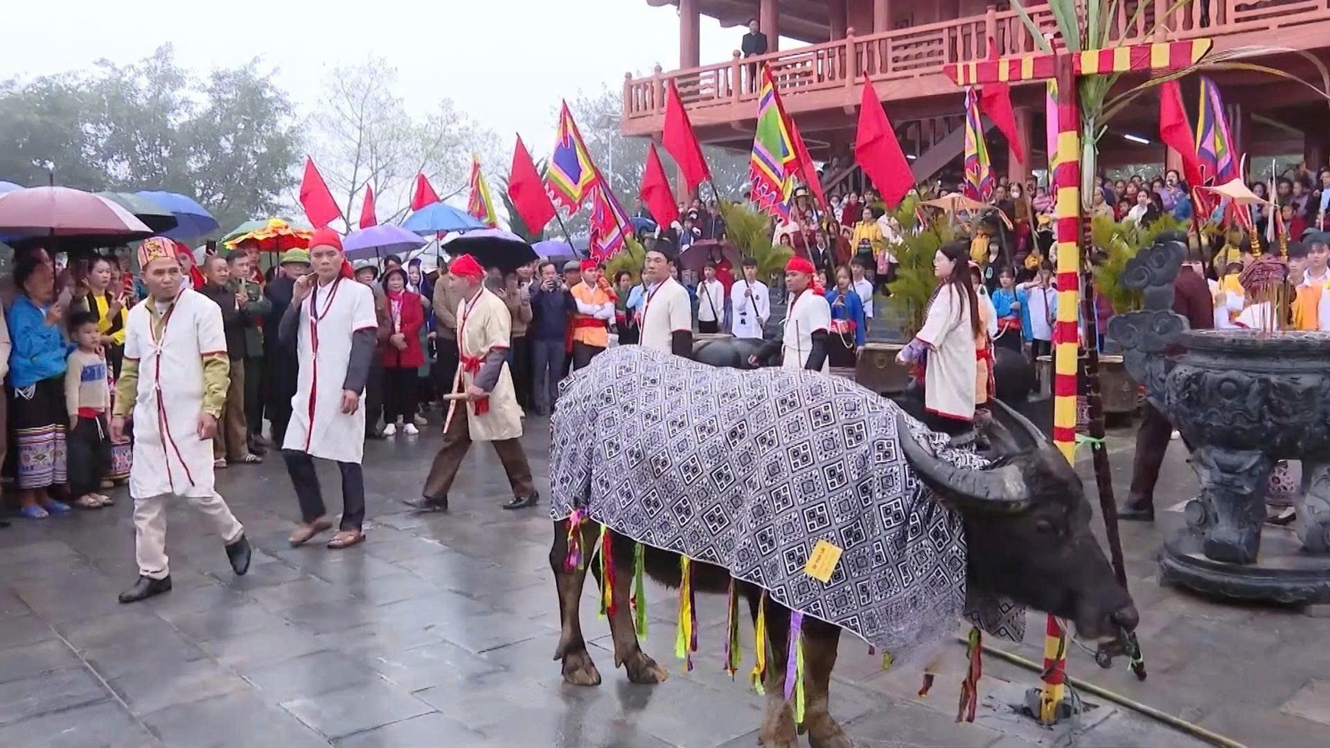Lễ dâng trâu tế trời cầu mùa màng, bình an cho bản mường
