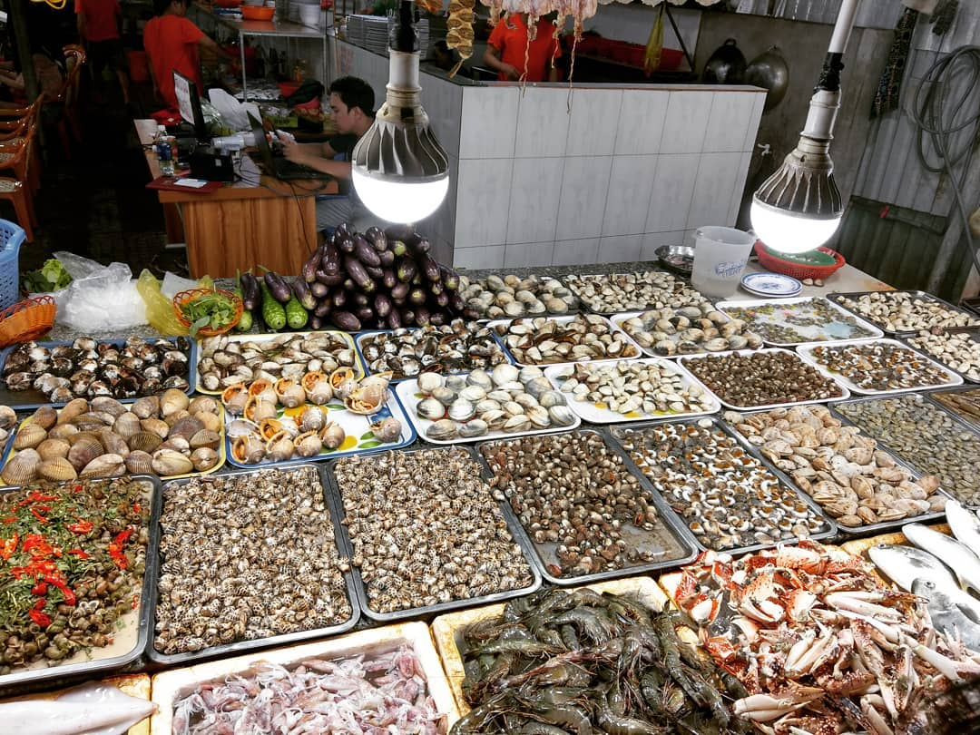 Chợ hải sản Sầm Sơn nhộn nhịp từ sáng sớm với nguồn hải sản vừa cập bến.