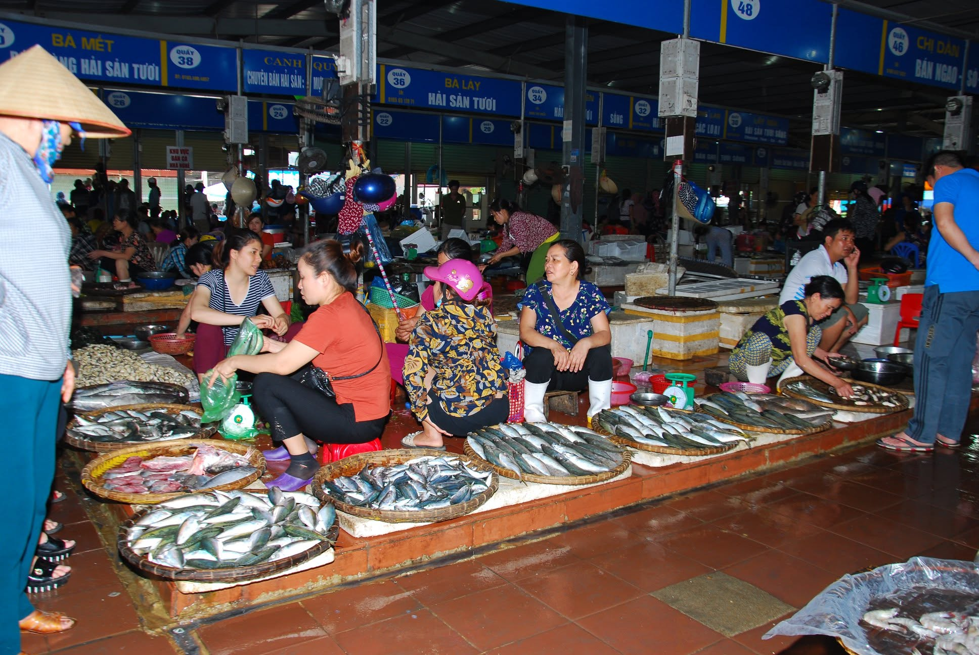Hải sản tươi sống phong phú là món quà được nhiều du khách lựa chọn sau chuyến du lịch Sầm Sơn.