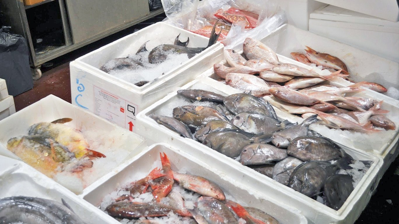 Hải sản được đóng gói bằng thùng xốp và đá lạnh để giữ độ tươi khi vận chuyển.