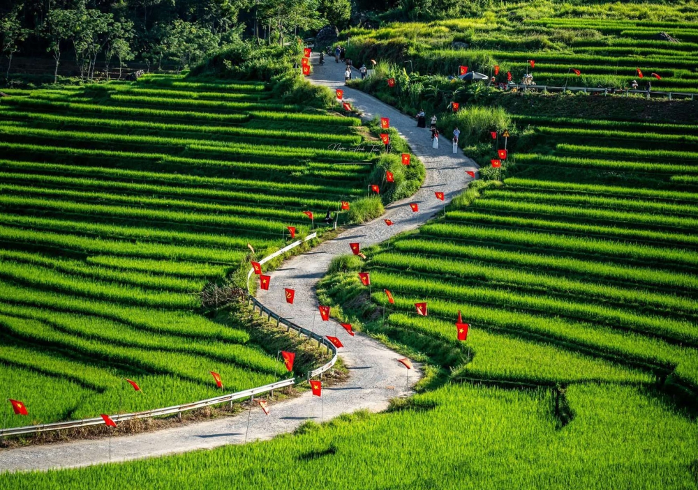 Ruộng bậc thang uốn lượn là địa điểm check-in nổi tiếng tại bản Đôn Pù Luông.