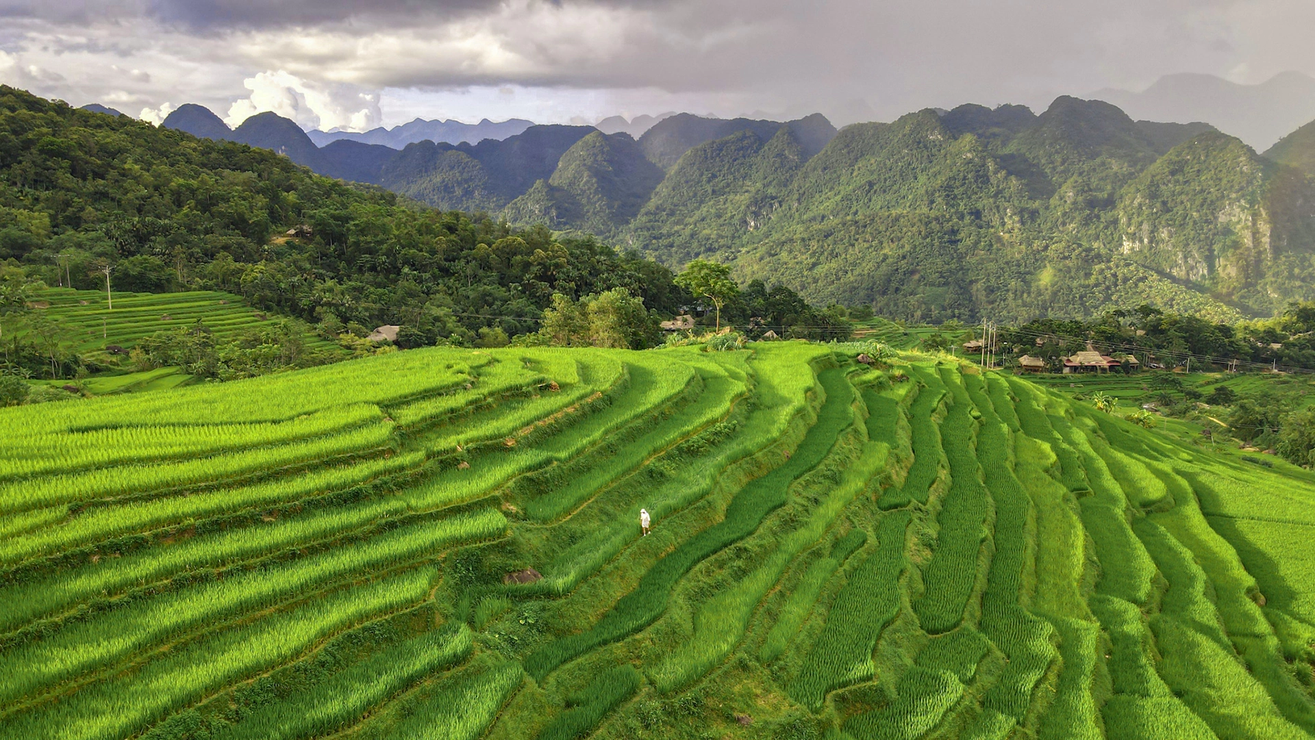 Du khách có thể hòa mình vào thiên nhiên trong lành giữa núi rừng Pù Luông.