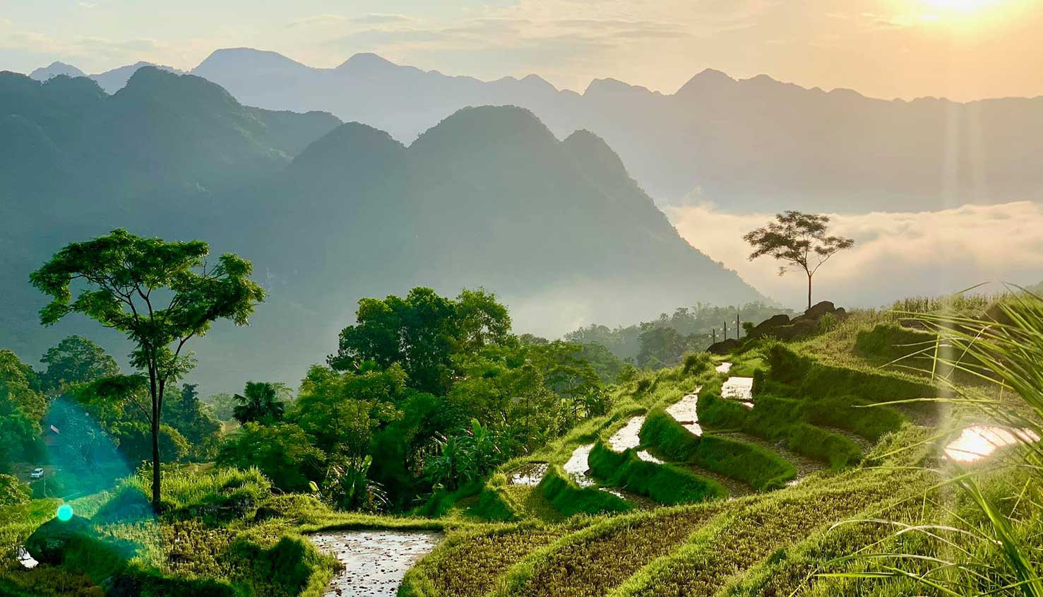 Khung cảnh ruộng bậc thang xanh mướt tại Pù Luông vào mùa hè.