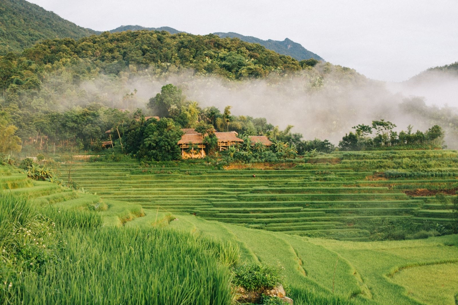 Những homestay giữa thiên nhiên Pù Luông mang đến không gian nghỉ dưỡng gần gũi và thư thái.