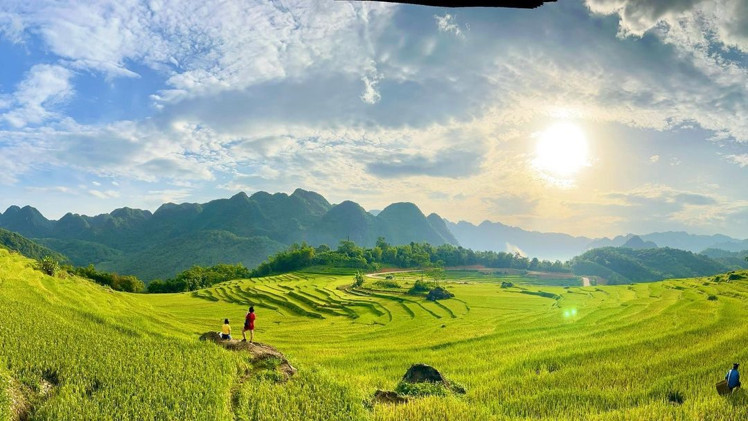 Ruộng bậc thang xanh mướt tại Pù Luông, điểm nghỉ dưỡng lý tưởng giữa thiên nhiên Thanh Hóa.