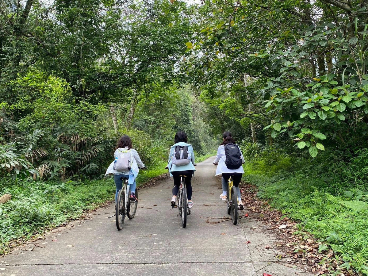 Du khách cần bảo vệ môi trường và tôn trọng các di sản khi tham quan vườn quốc gia Cúc Phương. Du khách cần bảo vệ môi trường và tôn trọng các di sản khi tham quan vườn quốc gia Cúc Phương.