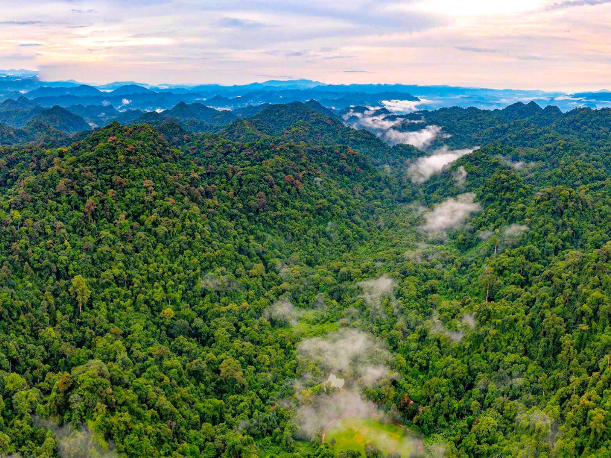 Vườn quốc gia Cúc Phương Thanh Hoá mang danh hiệu vườn quốc gia đầu tiên của Việt Nam.  Vườn quốc gia Cúc Phương Thanh Hoá mang danh hiệu vườn quốc gia đầu tiên của Việt Nam.