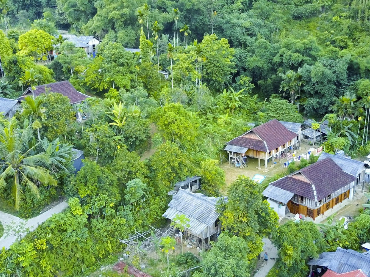 Khí hậu ôn hòa tạo điều kiện cho hệ sinh thái phong phú phát triển mạnh mẽ.  Khí hậu ôn hòa tạo điều kiện cho hệ sinh thái phong phú phát triển mạnh mẽ.