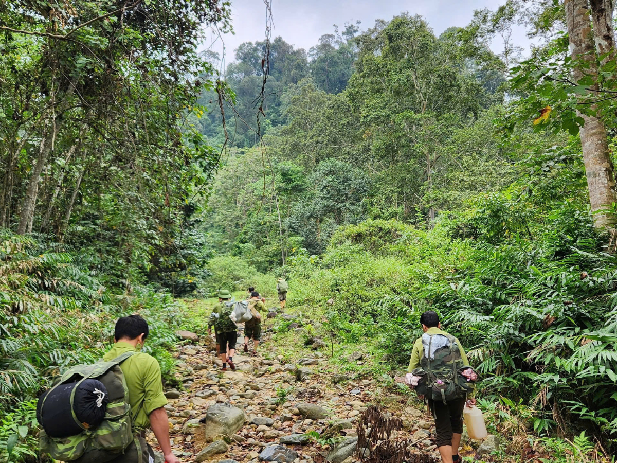 Vườn quốc gia Xuân Liên có khí hậu mát mẻ và biển mây dày đặc Vườn quốc gia Xuân Liên có khí hậu mát mẻ và biển mây dày đặc