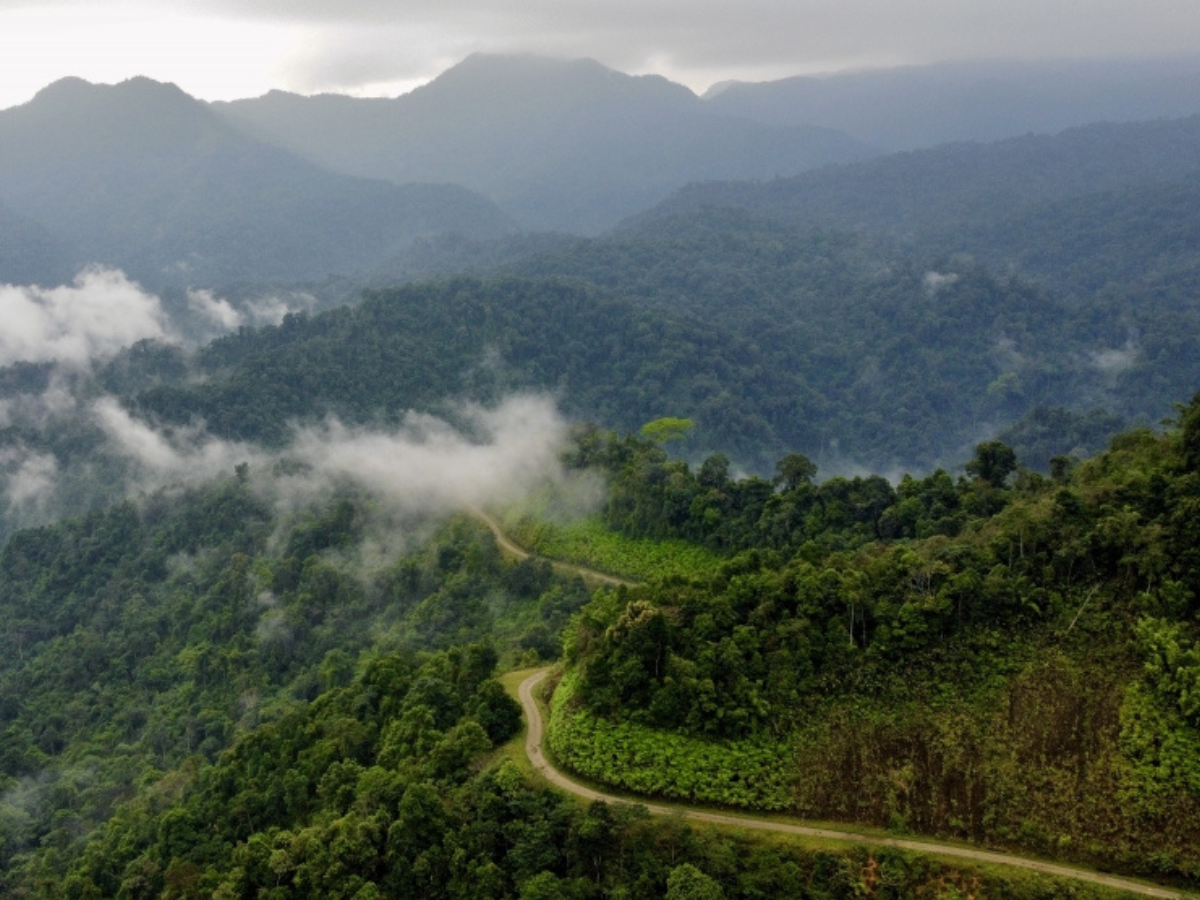 Vườn quốc gia Xuân Liên nằm ở vị trí chuyển tiếp giữa hai vùng Tây Bắc và Bắc Trung Bộ Vườn quốc gia Xuân Liên nằm ở vị trí chuyển tiếp giữa hai vùng Tây Bắc và Bắc Trung Bộ