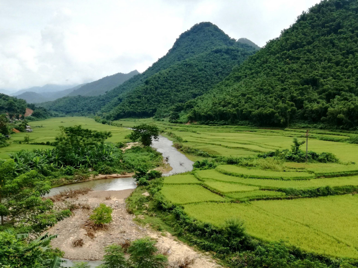 Du khách cần tuân thủ các lưu ý văn hoá và bảo vệ sinh thái ở Pù Hu. Du khách cần tuân thủ các lưu ý văn hoá và bảo vệ sinh thái ở Pù Hu.