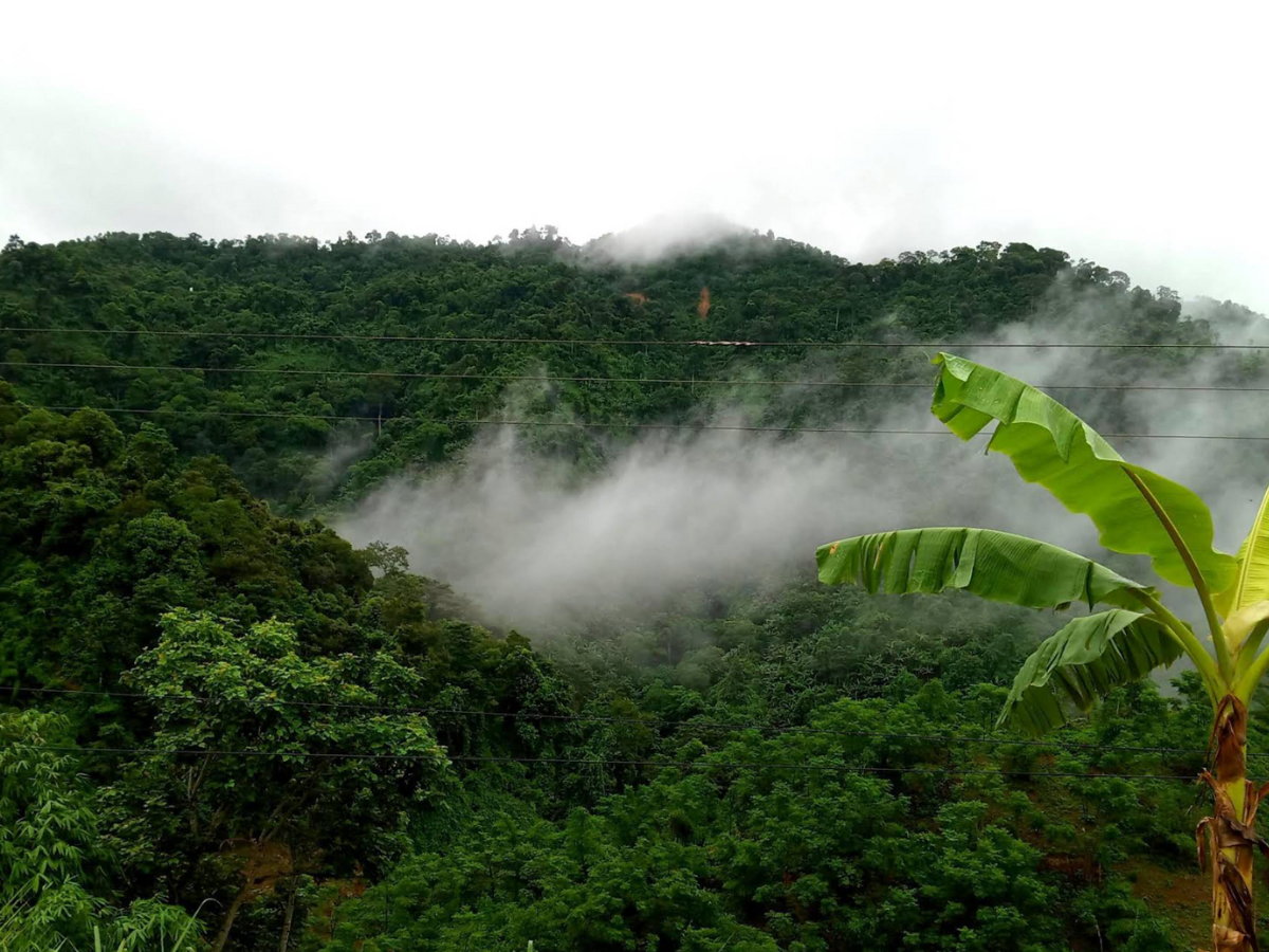 Đỉnh núi Học là thử thách hấp dẫn nhất dành cho những tín đồ trekking. Đỉnh núi Học là thử thách hấp dẫn nhất dành cho những tín đồ trekking.