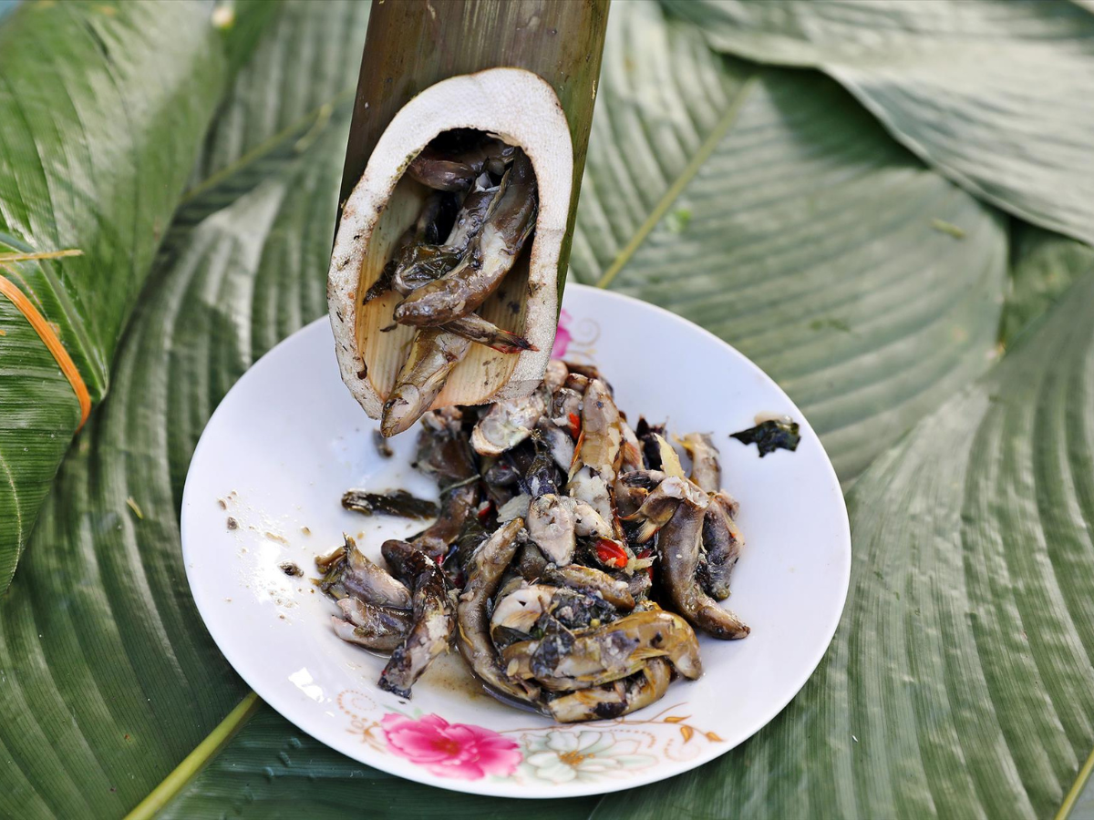 Cá suối nướng mắc khén mang hương vị đậm đà của núi rừng.