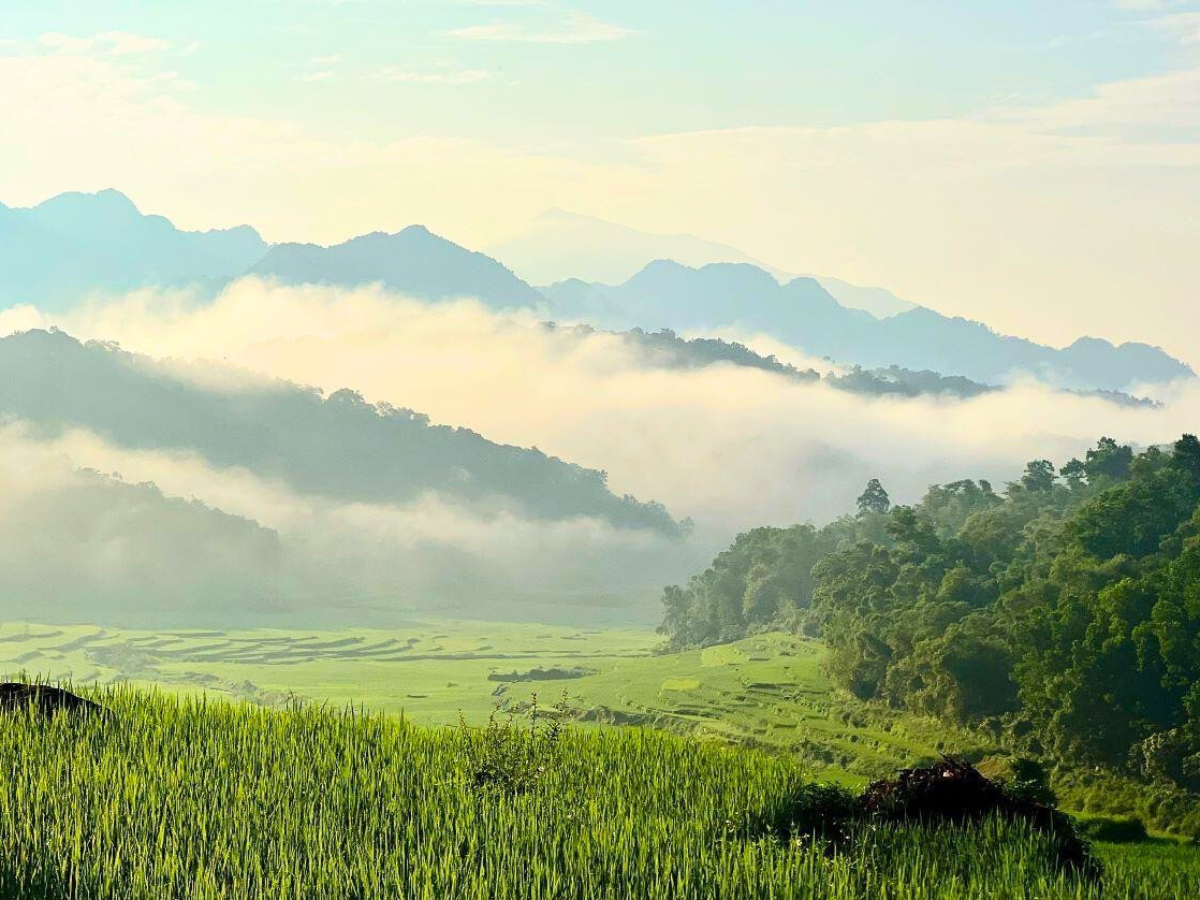 Không gian xanh bất tận của rừng nguyên sinh ở Pù Luông. 