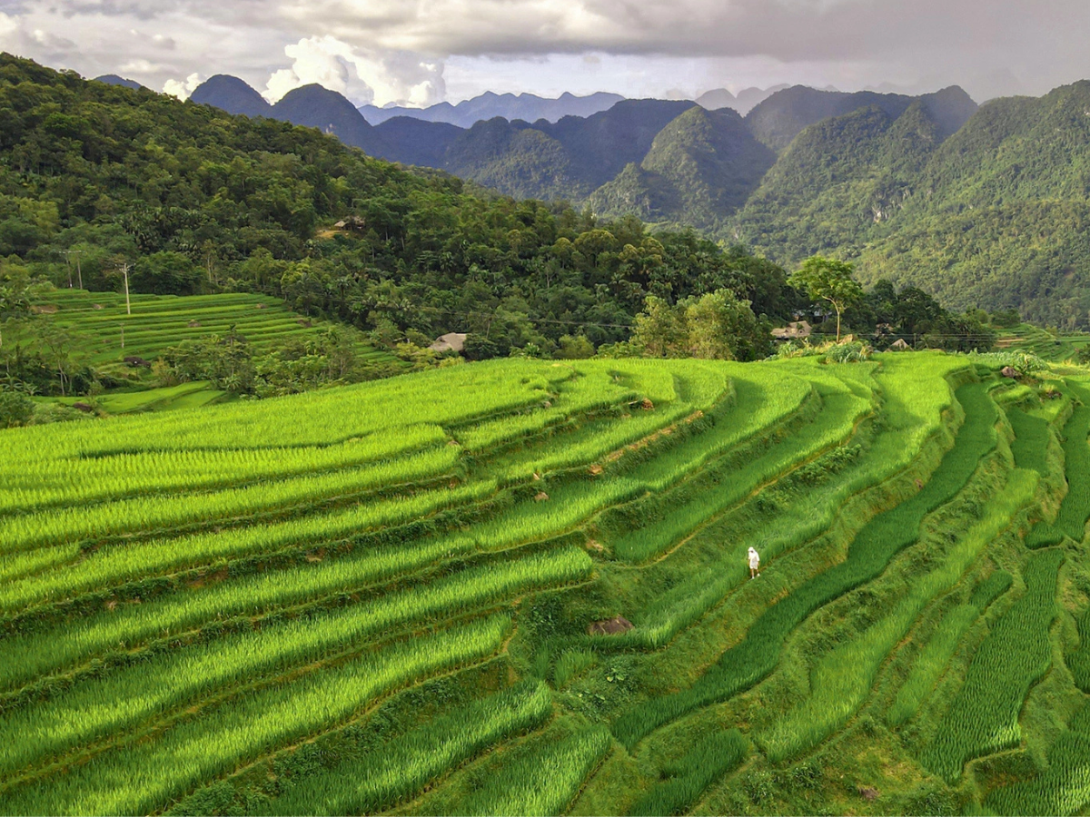 Pù Luông Thanh Hóa được bao quanh bởi dãy núi trùng điệp cùng những ruộng bậc thang mênh mông. 
