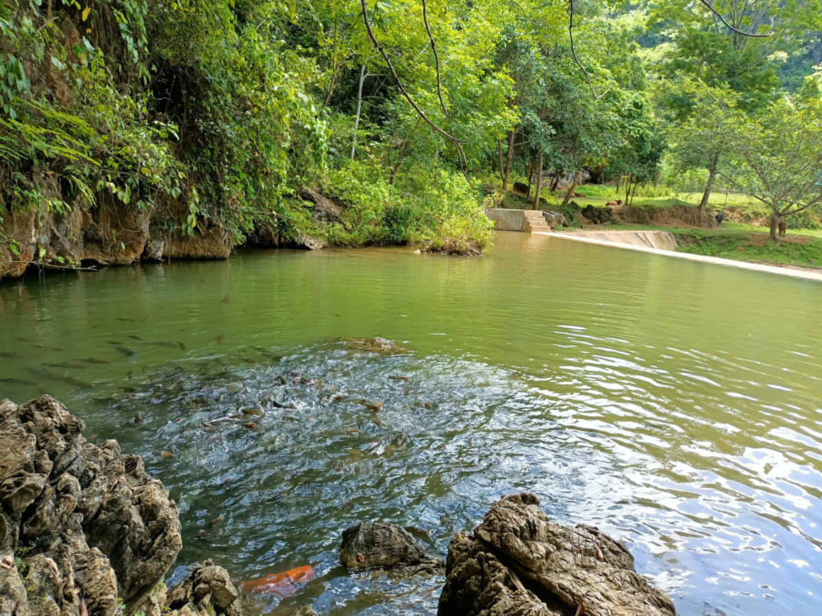 Mặt hồ với làn nước trong vắt tạo nên khung cảnh thơ mộng khó quên.