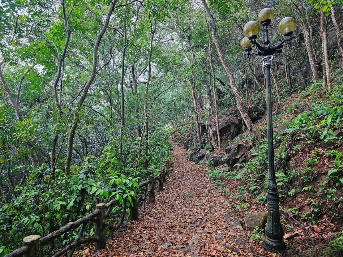 Lối đi bộ lên cửa động Long Quang Lối đi bộ lên cửa động Long Quang