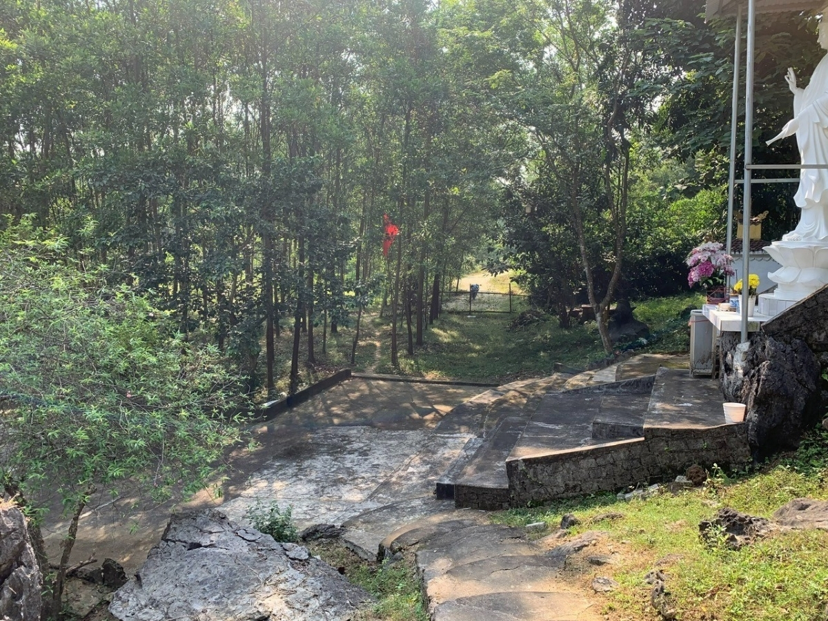 Khu vực xung quanh quần thể hệ thống hang động Trường Lâm. 