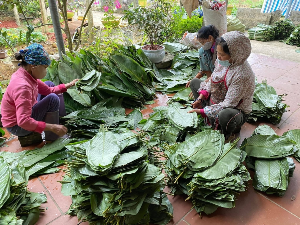 Khâu chọn và rửa lá gói khi làm bánh răng bừa.  Khâu chọn và rửa lá gói khi làm bánh răng bừa.