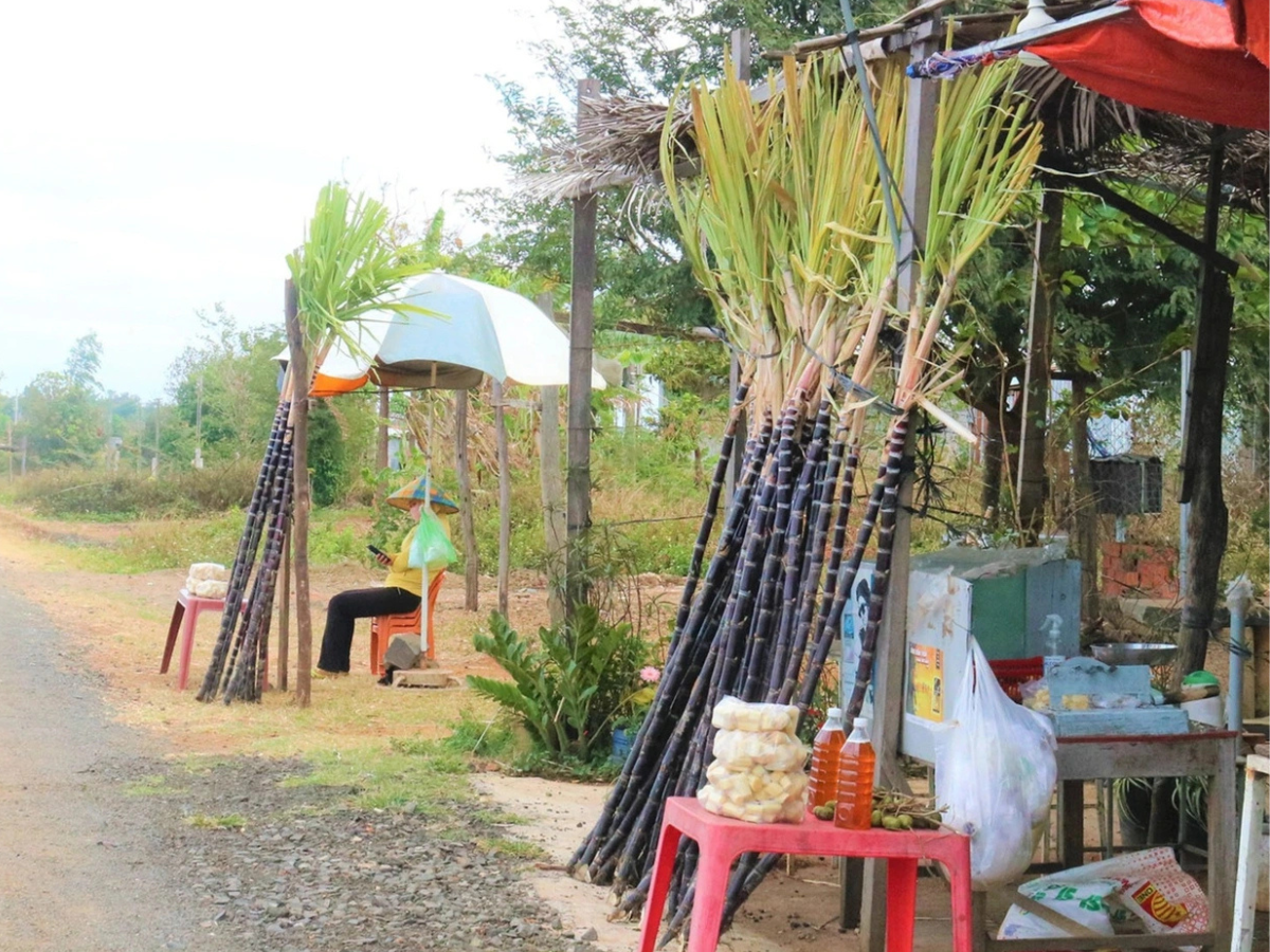 Chợ Kim Tân và các đại lý nông sản tại xã là những điểm bán mía tím Kim Tân chính hiệu với chất lượng đảm bảo. Chợ Kim Tân và các đại lý nông sản tại xã là những điểm bán mía tím Kim Tân chính hiệu với chất lượng đảm bảo.