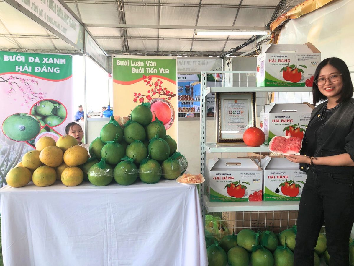 Danh xưng "bưởi tiến vua" được hình thành từ truyền thống lâu đời của người làng Luận Văn.