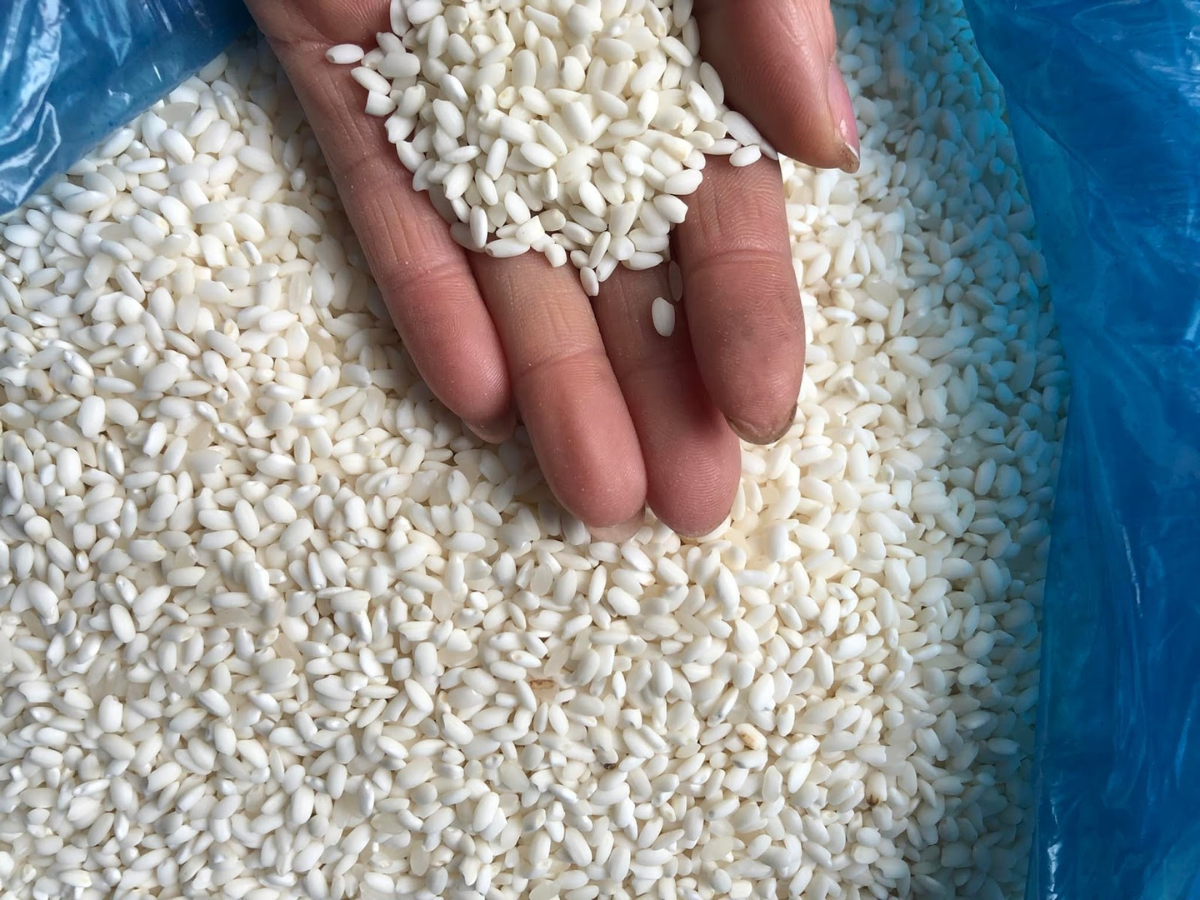 Gạo nếp của vùng Nga Sơn nổi tiếng nhờ hạt chắc mẩy, thơm dẻo và vị ngọt tự nhiên. 