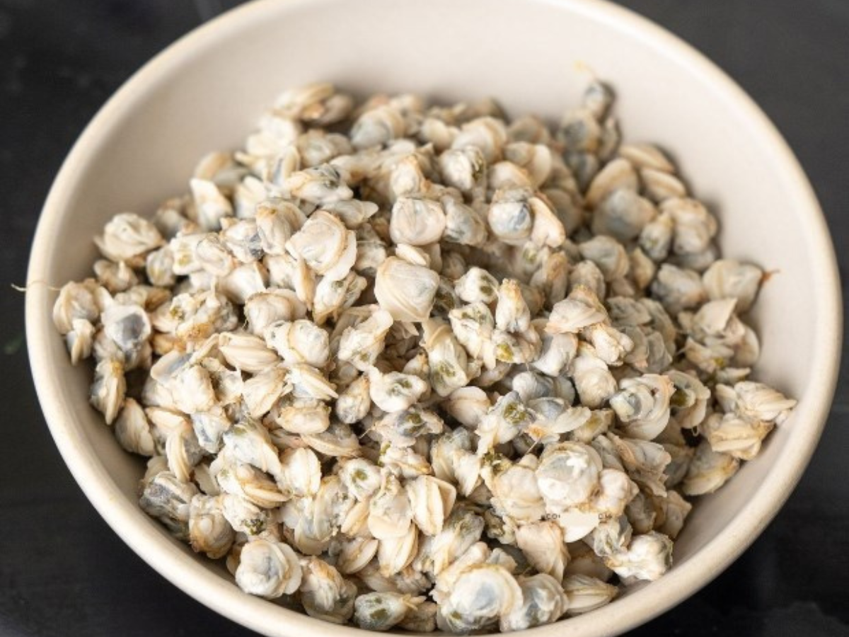 Hến làng Giàng có thịt mềm, ngọt thanh, mùi thơm dịu đặc trưng. Hến làng Giàng có thịt mềm, ngọt thanh, mùi thơm dịu đặc trưng.