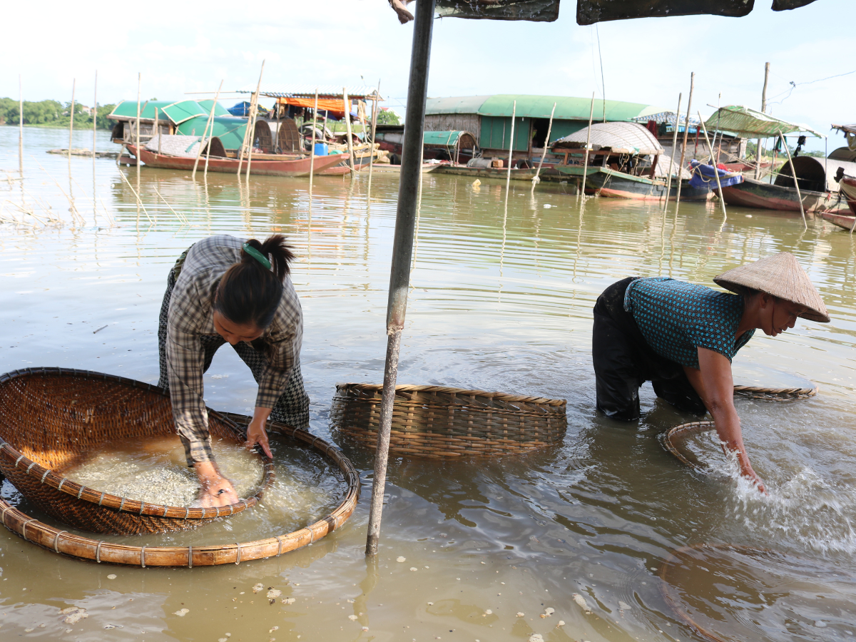 Du khách có thể tham gia cào hến cùng người dân địa phương Du khách có thể tham gia cào hến cùng người dân địa phương
