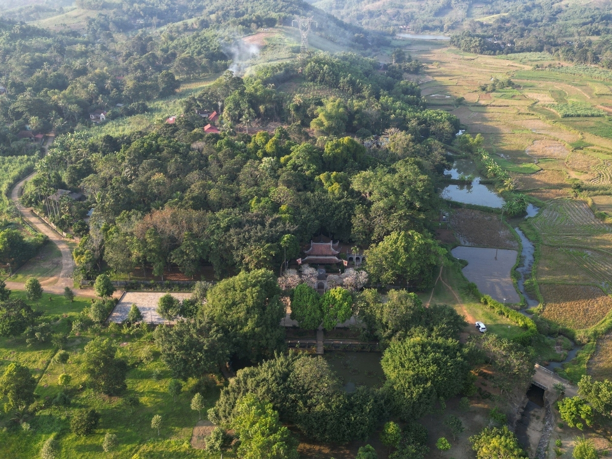 Không gian thiên nhiên xung quanh đền thờ Lê Lai. 