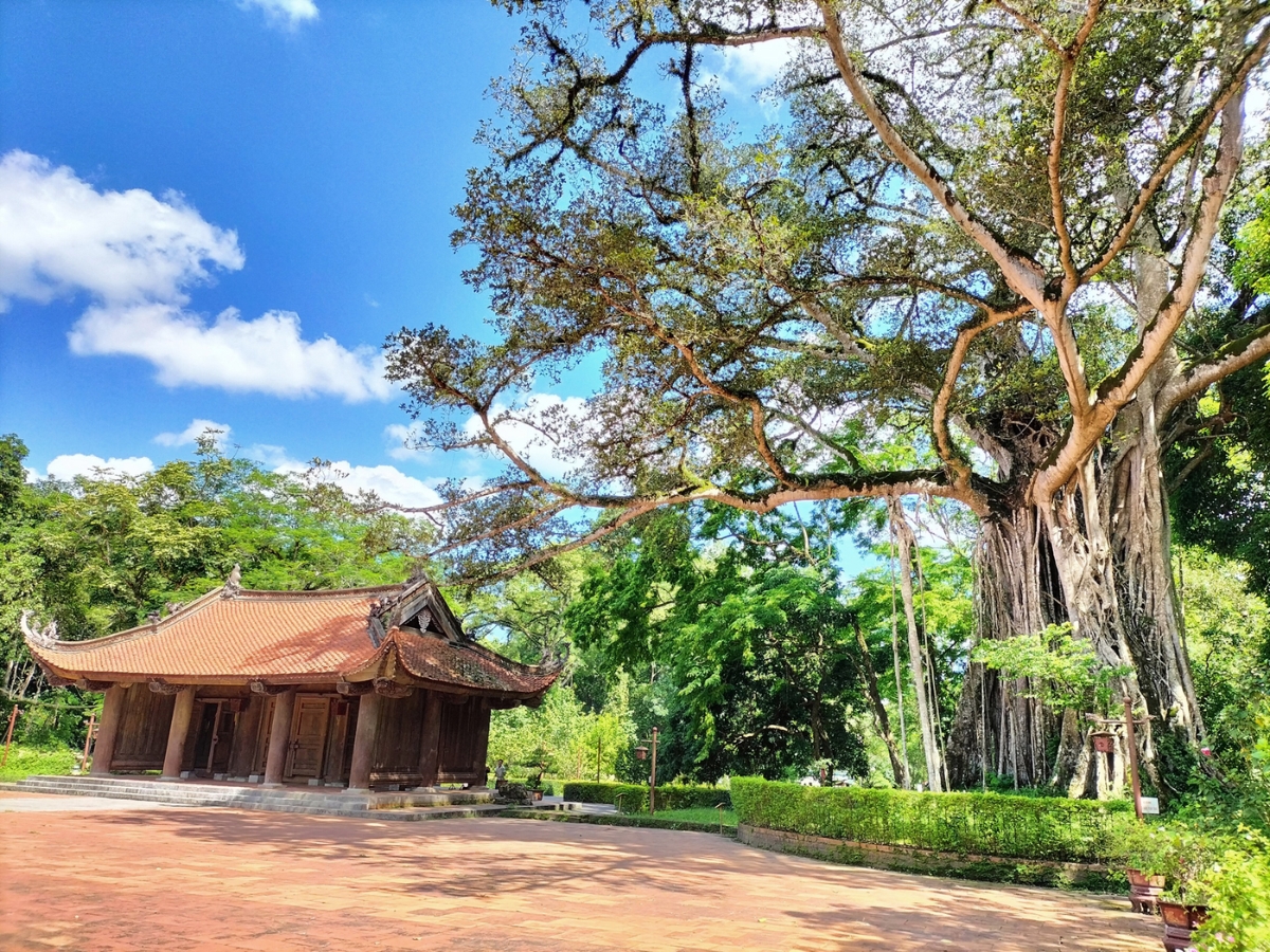 Kết hợp tham quan và chiêm bái tại khu di tích Lam Kinh.