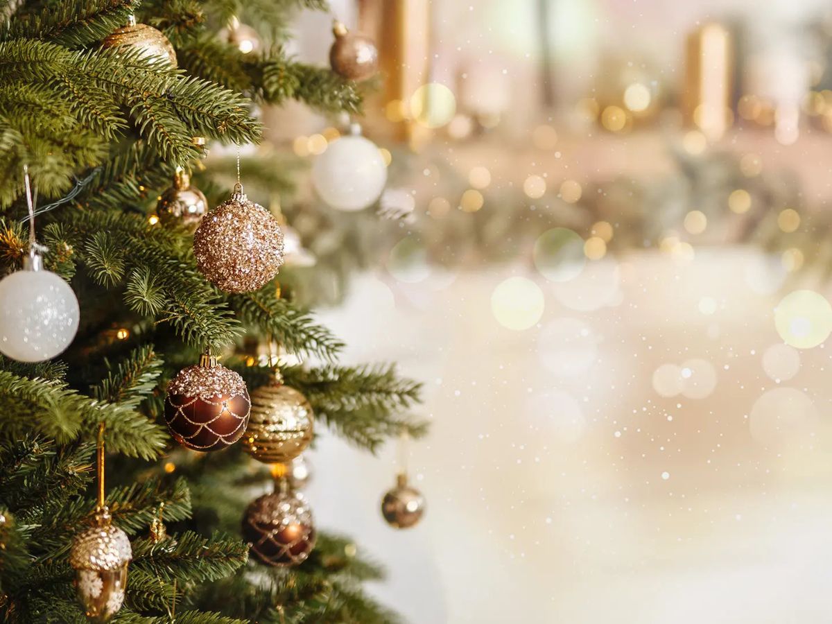 Không khí Giáng sinh ở Thanh Hóa trở nên nhộn nhịp và ấm áp hơn. 