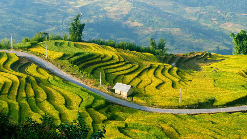 Pù Luông - bản làng mùa lễ hội thu hút đông đảo khách mỗi dịp Tết đến xuân về. 