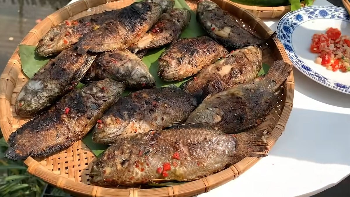 Cá rô Đầm Sét có thịt chắc, ngọt và giàu dinh dưỡng.
